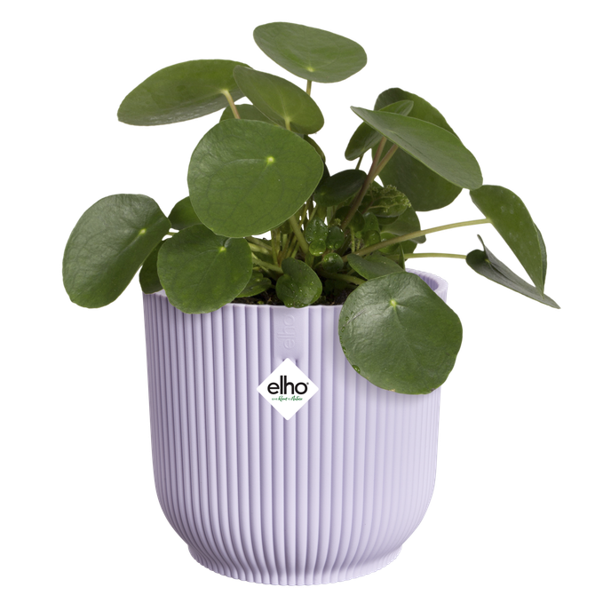 vibes fold round 14cm soft lilac